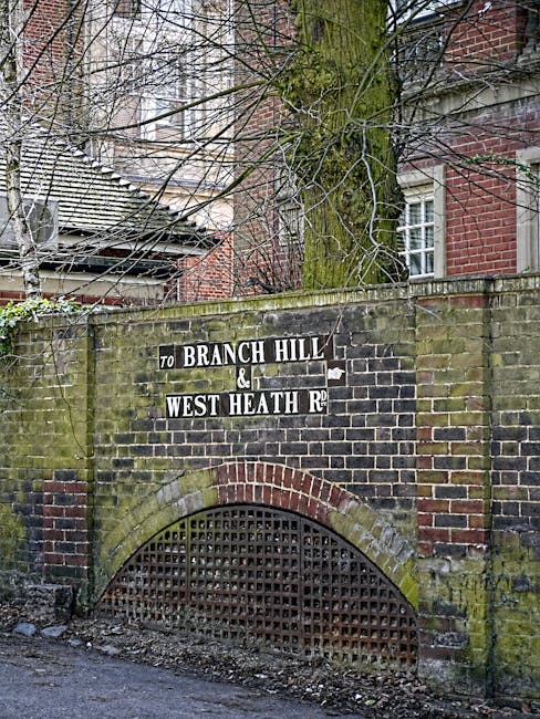 Photograph of a brick archway embedded in a moss-covered brick wall, with a black and white directional sign mounted above it indicating the route to Branch Hill and West Heath Road. The sign is weathered, with some peeling paint, and is positioned beneath a tall tree with bare branches, suggesting it is winter or early spring. Behind the wall, parts of a residential building with brick and tiled roofing are visible, along with windows. The area appears to be an urban street or entranceway, with the ground paved and some debris or dirt near the base of the wall. This setting is typical for a house removal or relocation scene, where such structures might be part of a driveway or entry point utilized during furniture transport or house moves, and it is associated with the services provided by Removal Van West Hampstead in the NW6 area.
